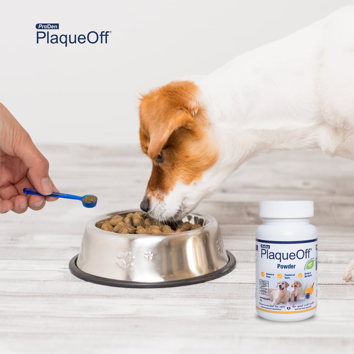 Perro comiendo croquetas con PlaqueOff